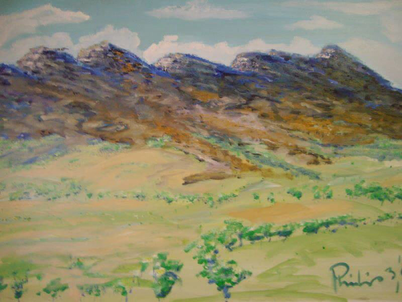 Flinders Ranges painted by Philip David