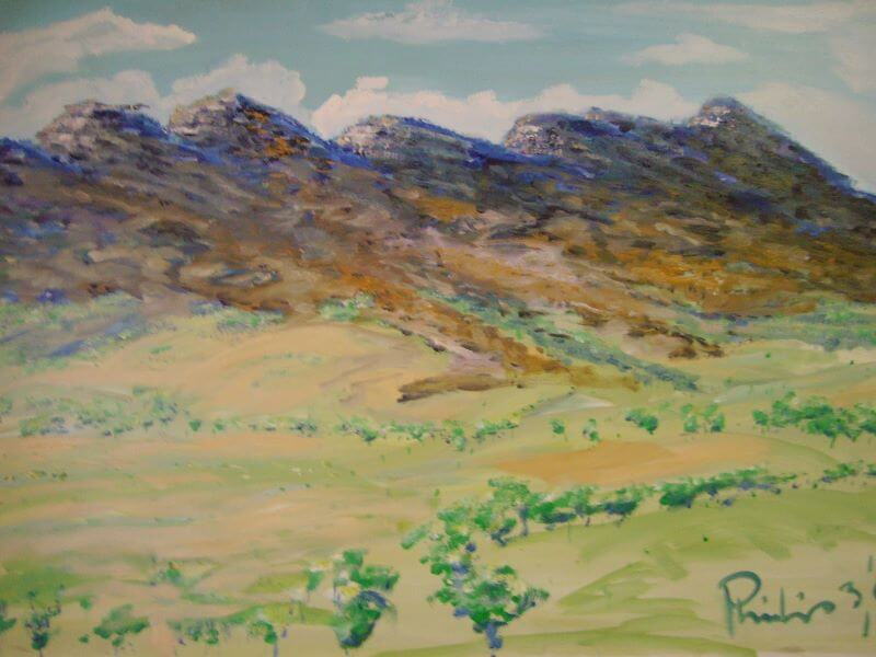 Flinders Ranges painted by Philip David