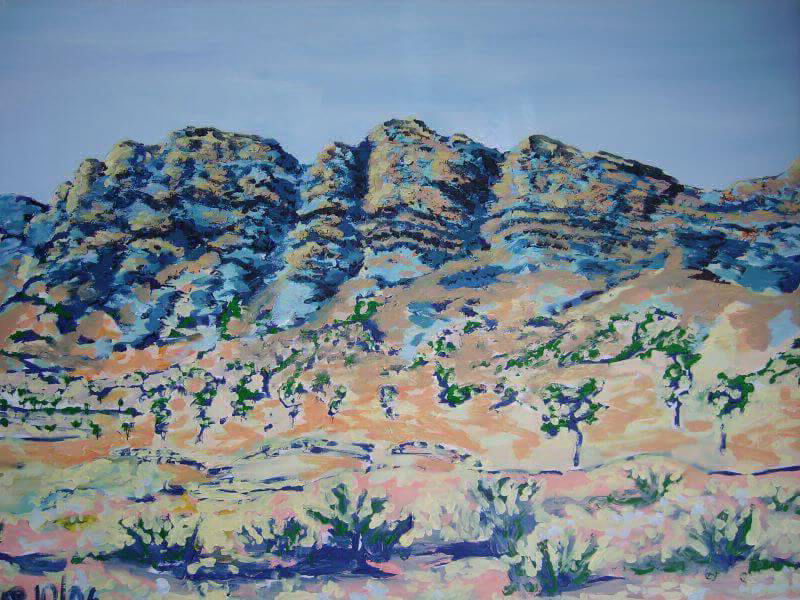Flinders Ranges painted by Philip David