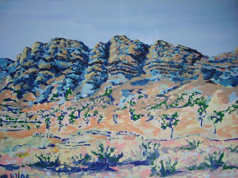 Flinders Ranges painted by Philip David
